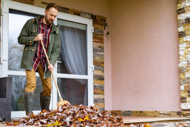 Best Household Junk Removal  in Manly, IA